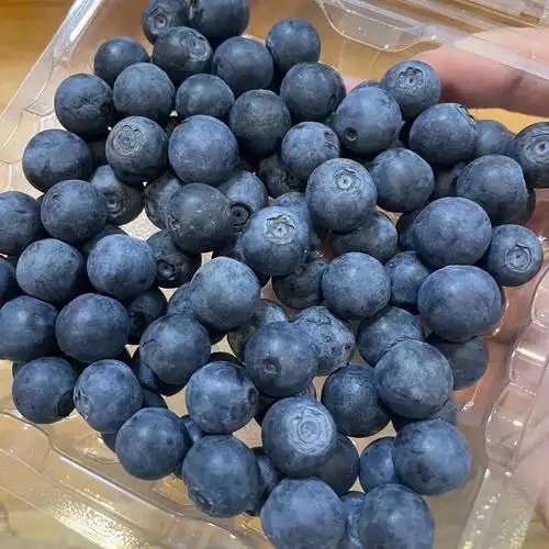 国产蓝莓盒 121