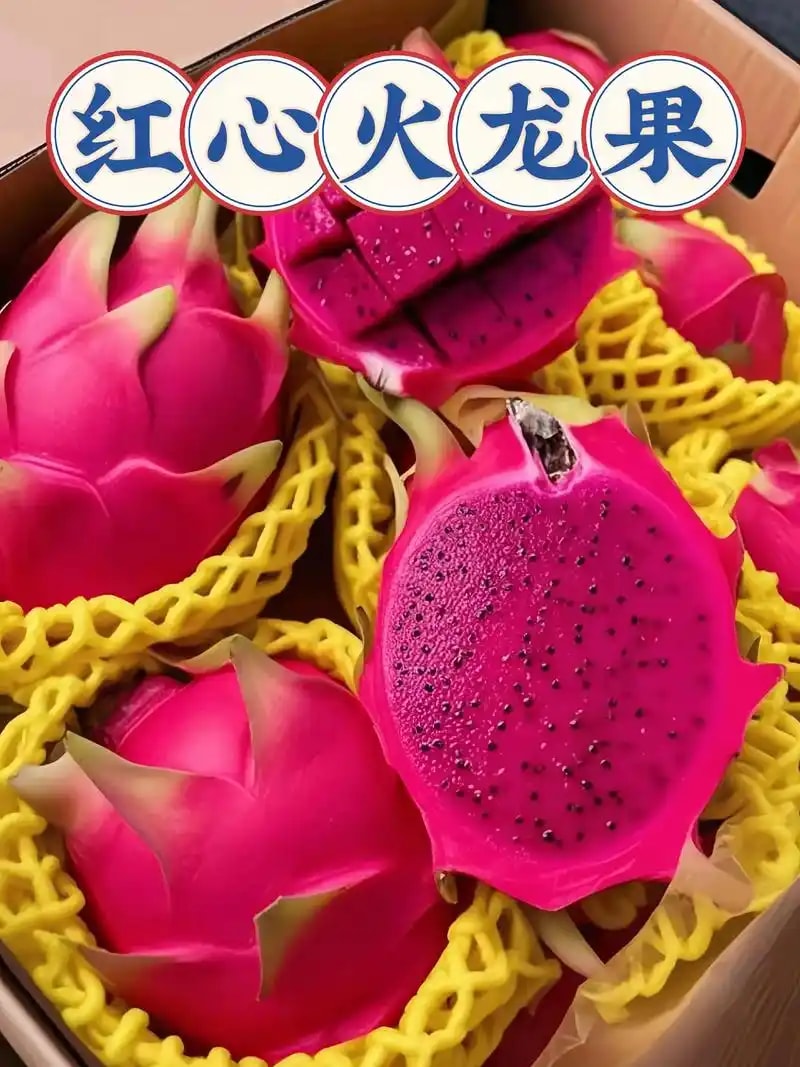 火龙果红心 159