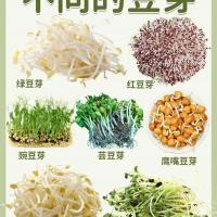 平菇散装 29