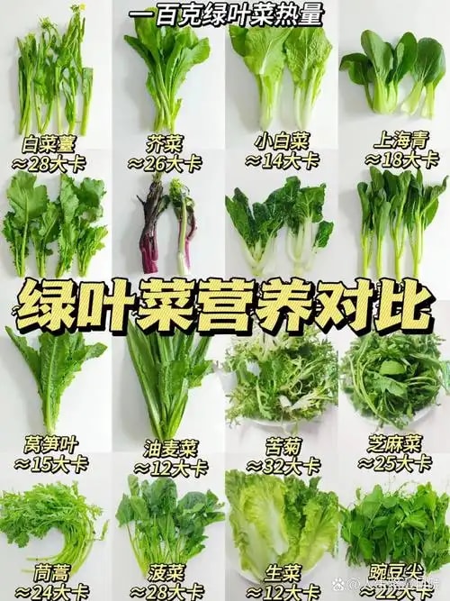 油麦菜鲜捆 46