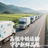 冷链仓储服务 19