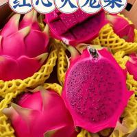 赣南脐橙10斤 26
