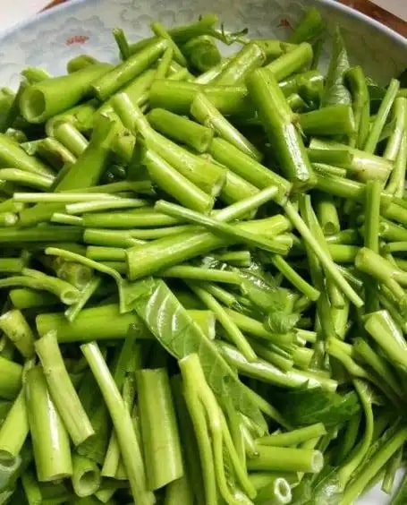 上海青生菜 27