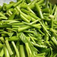 上海青生菜 27