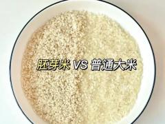 企业团购谷物盒 44