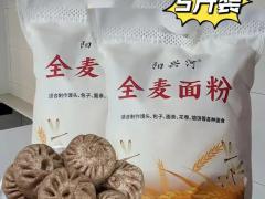企业轻食沙拉 125