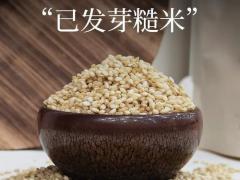 全麦馒头胚 23