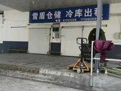 新疆红枣灰枣 32