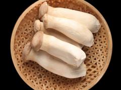 药食原料区域代理招商